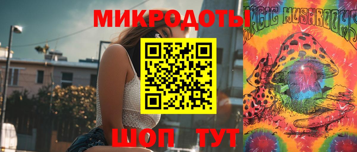 Псилоцибиновые грибы Psilocybine cubensis Жуковский