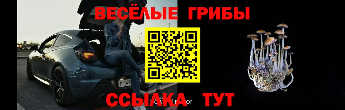 Жуковский  Псилоцибиновые грибы мухоморы  Вход с VPN 